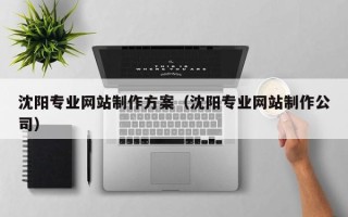 锡林郭勒盟沈阳专业网站制作方案（沈阳专业网站制作公司）